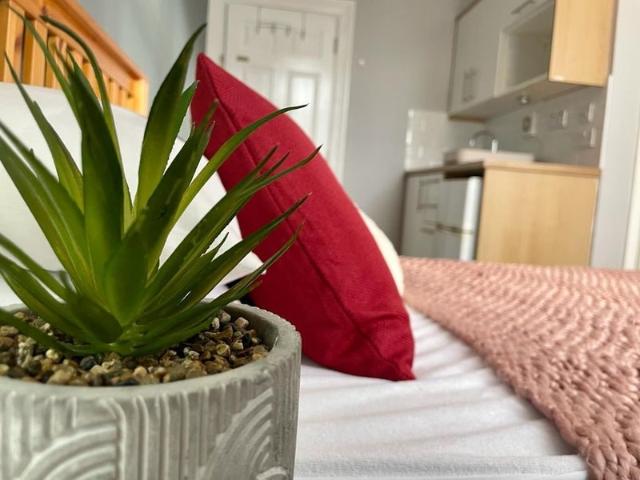Room for rent in Dudley Wood, Dudley