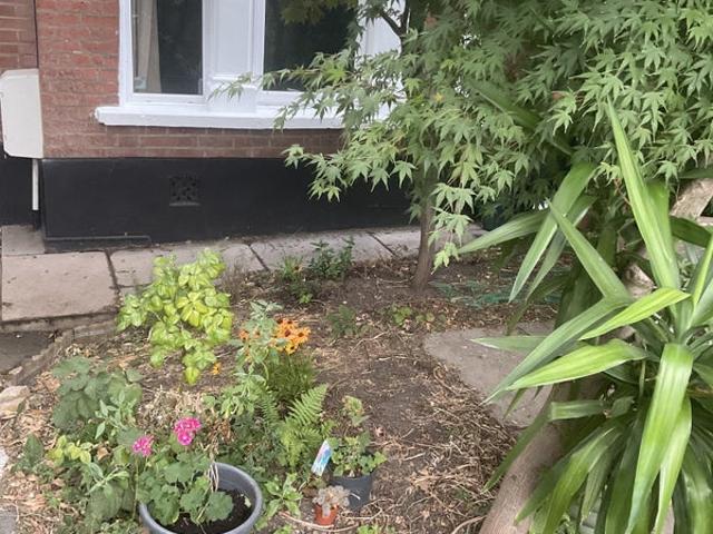 Room for rent in London Borough of Lewisham, Greater London