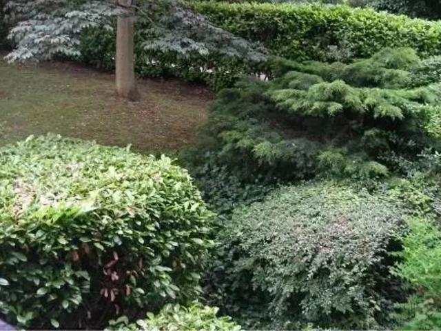 Room for rent in Petersham, Greater London