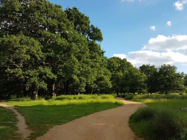 Room for rent in Ibsley Neighbourhood, Greater London