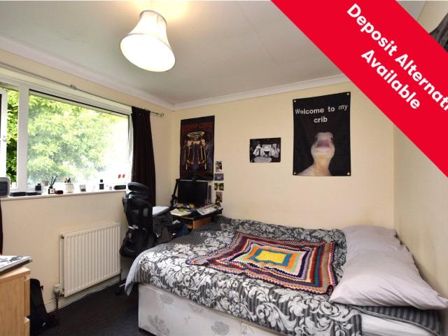 Room for rent in South Twerton, Dulcote