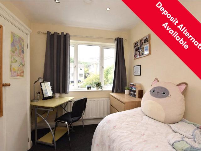 Room for rent in South Twerton, Dulcote