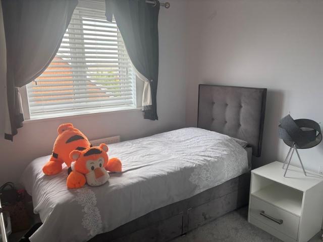 Room for rent in Slough