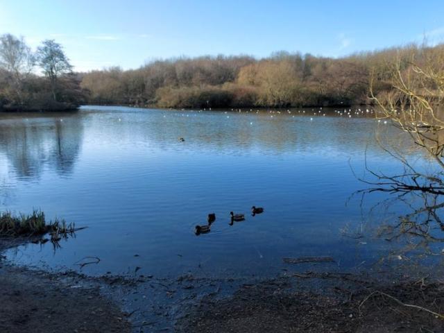 Room for rent in Haddon, East Midlands