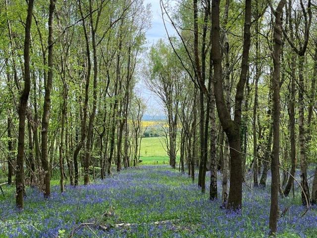 Room for rent in Alderminster, Warwickshire