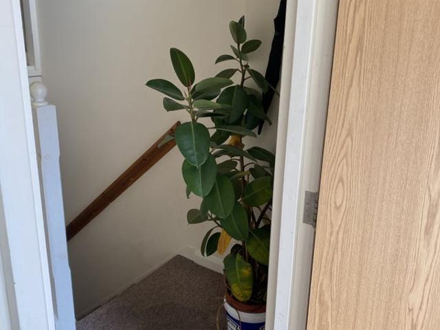 Room for rent in Kilburn, Greater London
