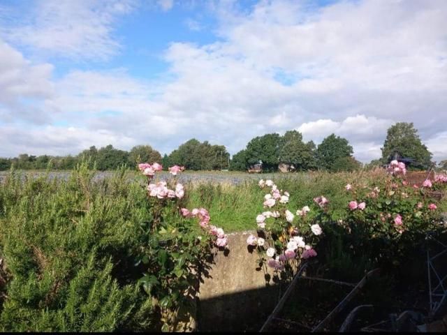 Room for rent in Hoscar, West Lancashire