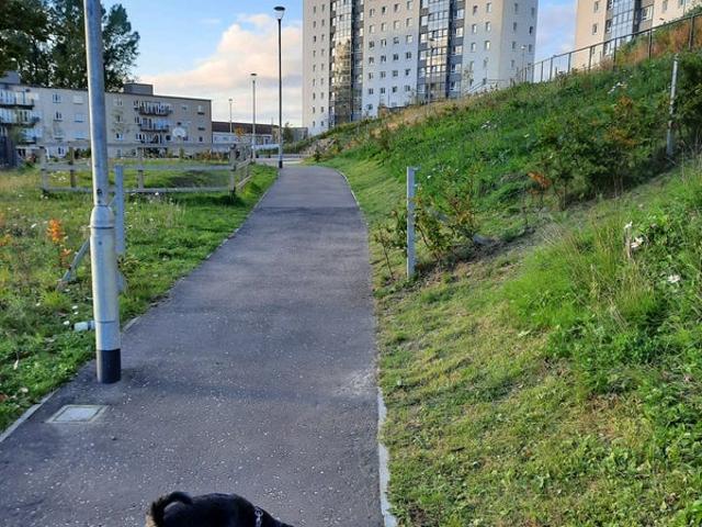 Room for rent in South Cardonald, Glasgow
