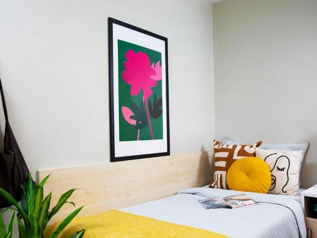 Room for rent in Lansdowne, Bournemouth