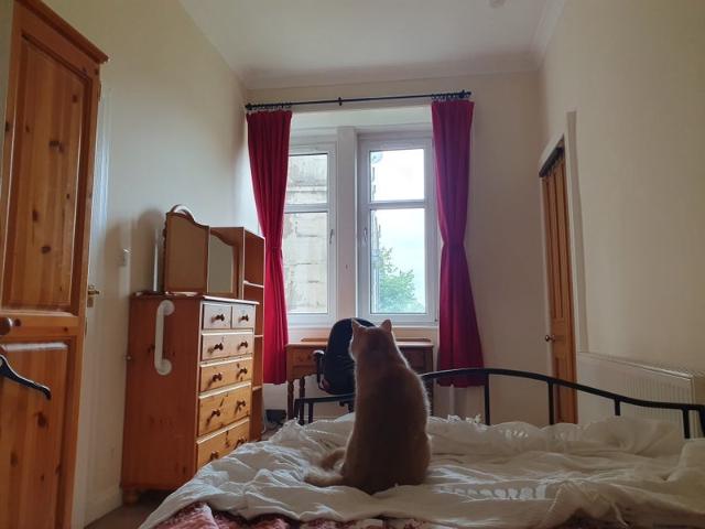 Room for rent in Craigton, Scotland