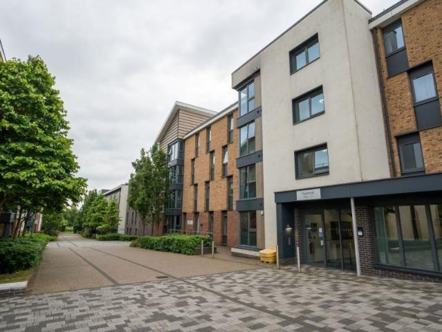 Room for rent in Clifton, Haddon