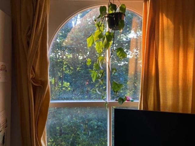 Room for rent in Highbury, Greater London