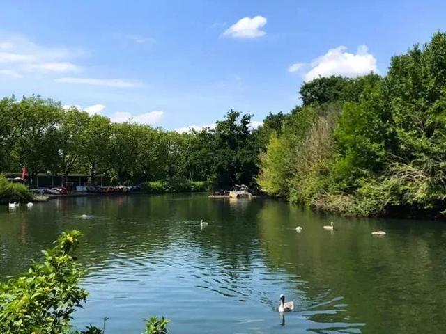 Room for rent in Finsbury Park, Greater London