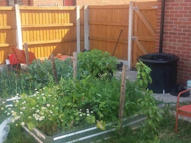 Room for rent in Georgia, Greater Manchester