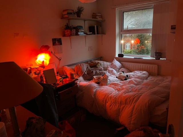 Room for rent in Withington, Georgia