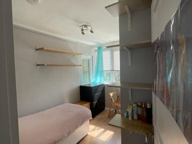 Room for rent in Pimlico, Greater London