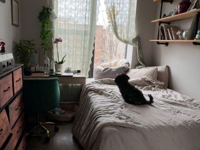 Room for rent in Bushwick, New York