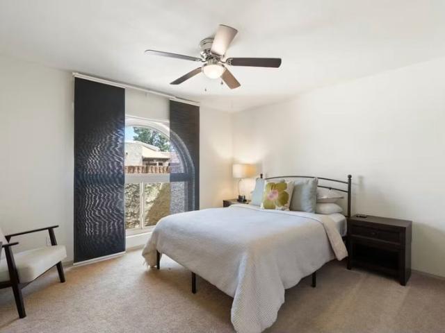 Room for rent in Scottsdale, Arizona