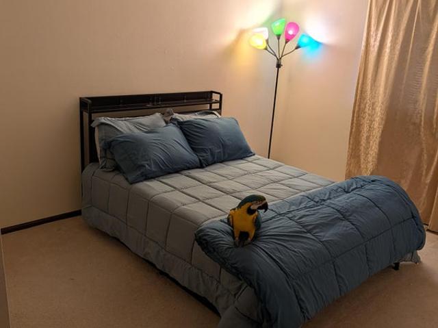 Room for rent in Wyoming