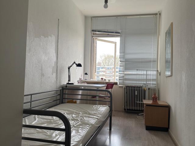 Kamer te huur in Het Lage Land, Rotterdam