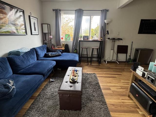 Room for rent in Venice, Los Angeles