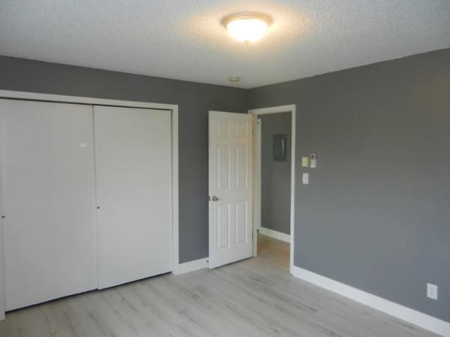 Room for rent in Fort Collins, Colorado