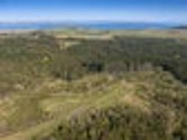 Land for sale in Kawau Island