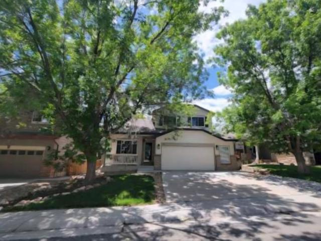 Room for rent in Denver, Colorado