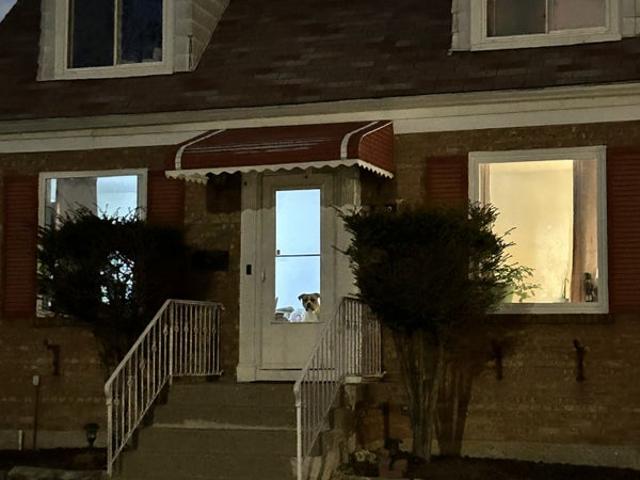 Room for rent in Elmwood Park, Illinois