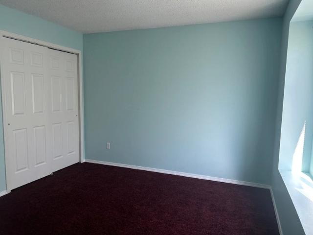Room for rent in Colorado Springs, El Paso County
