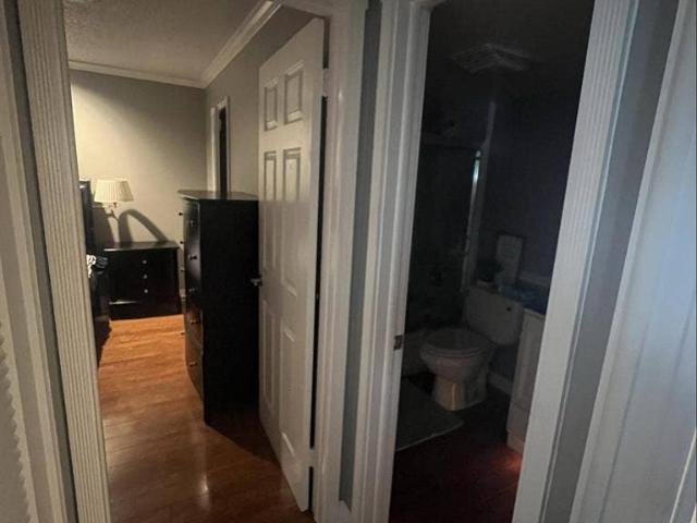 Room for rent in Florida