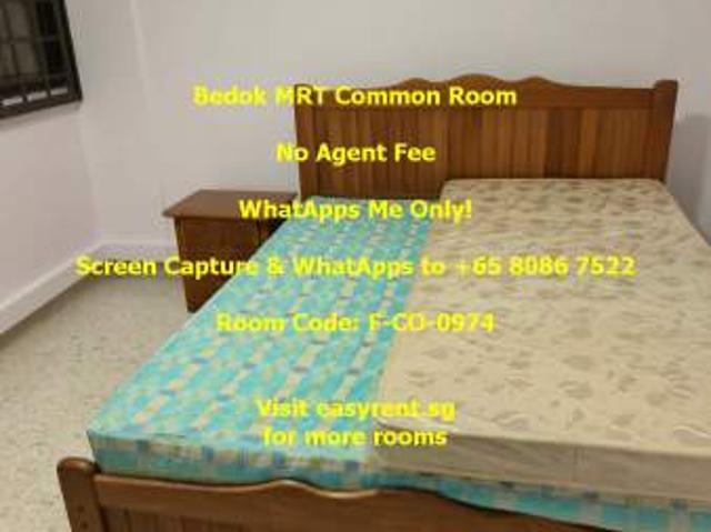 Room for rent in 19 North East, Hougang