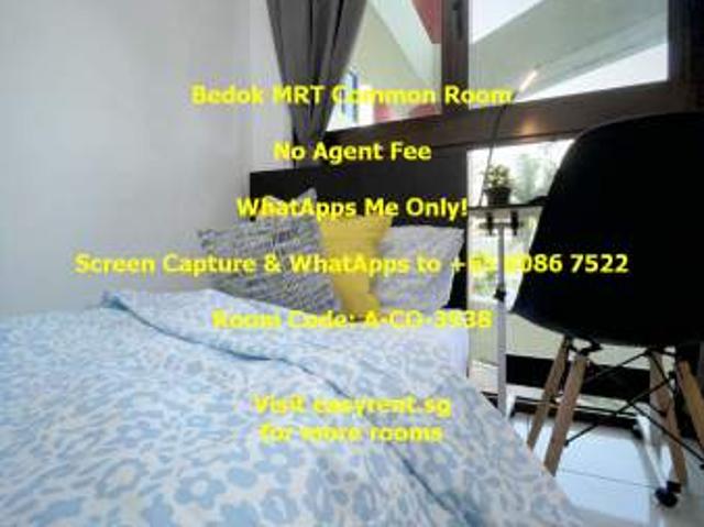 Room for rent in Bedok, 16 Upper East Coast