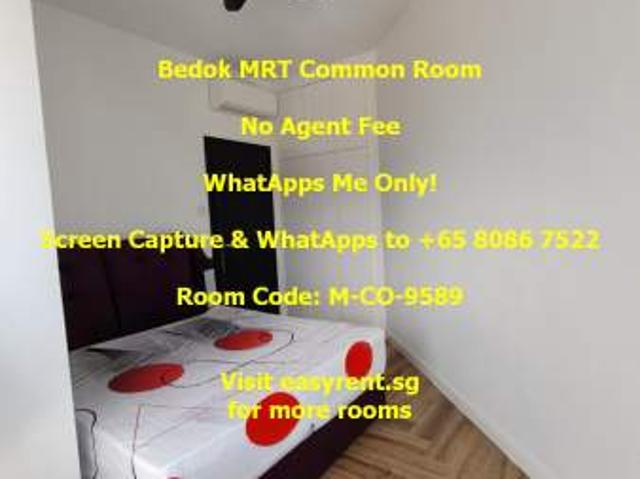 Room for rent in 16 Upper East Coast