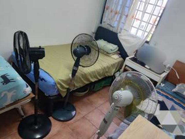 Room for rent