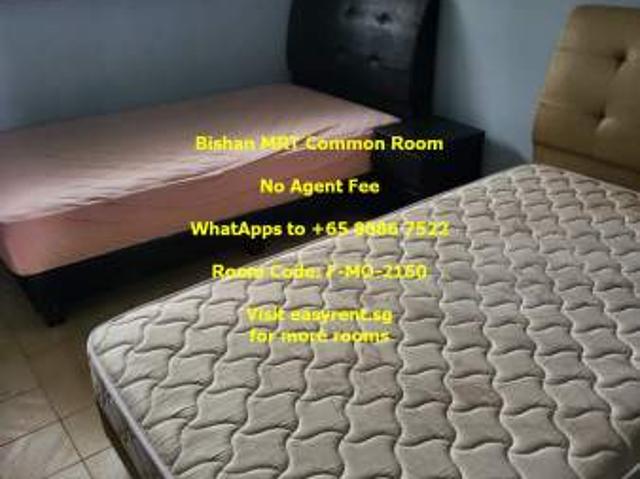 Room for rent in Bishan, 20 Central North, Amk