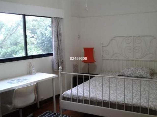 Room for rent in Holland