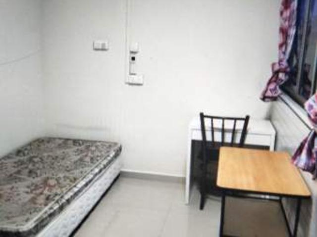 Room for rent in Hougang, 19 North East, Hougang