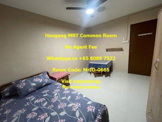 Room for rent in Hougang, 19 North East, Hougang