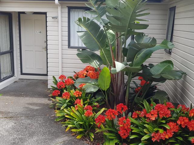 Room for rent in Paremoremo