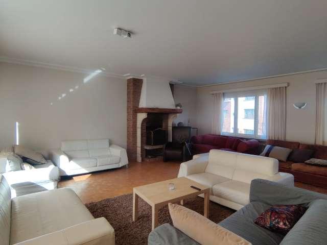 Kamer location à Sint-pieters-woluwe, Bruxelles