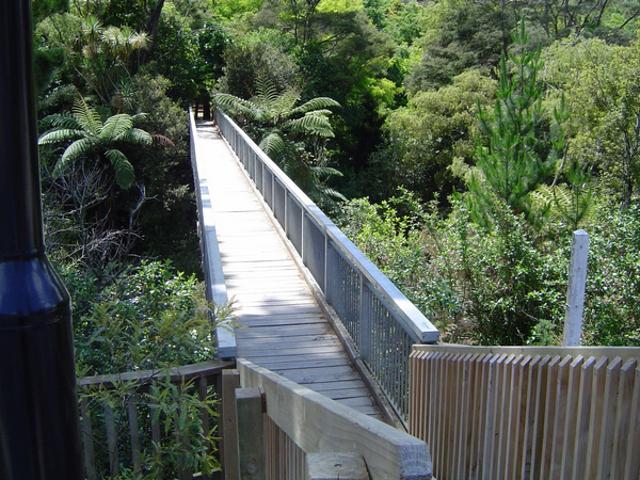 Room for rent in Auckland