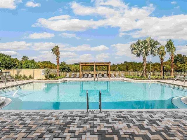 Room for rent in Land O Lakes, Florida