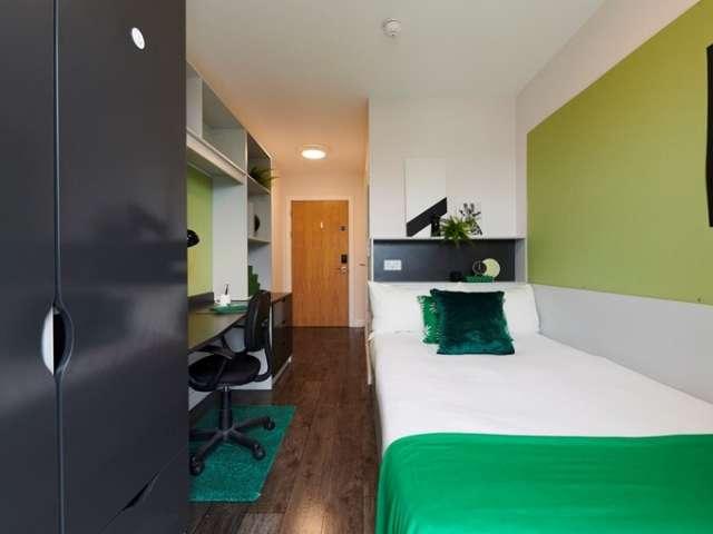Room to rent in Dublin 8, Bluebell