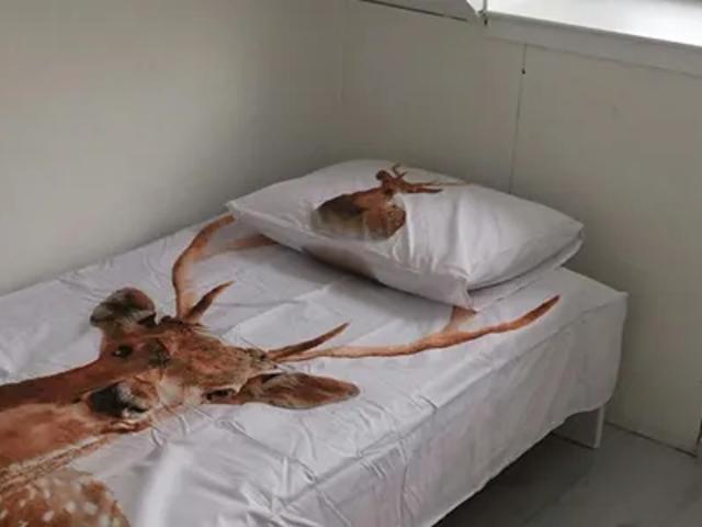 Kamer te huur in Oostvaardersbuurt, Almere-haven