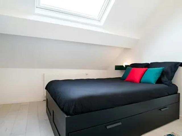 Kamer location à Dendermonde, Oost-Vlaanderen