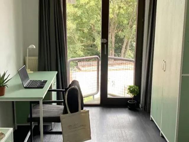 Kamer location à Dendermonde, Oost-Vlaanderen