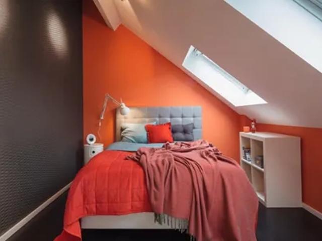 Kamer location à Dendermonde, Oost-Vlaanderen