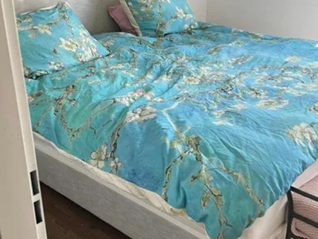 Kamer te huur in Getsewoud, Nieuw-vennep