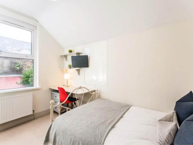 Room for rent in Plasnewydd, Falcon Lodge